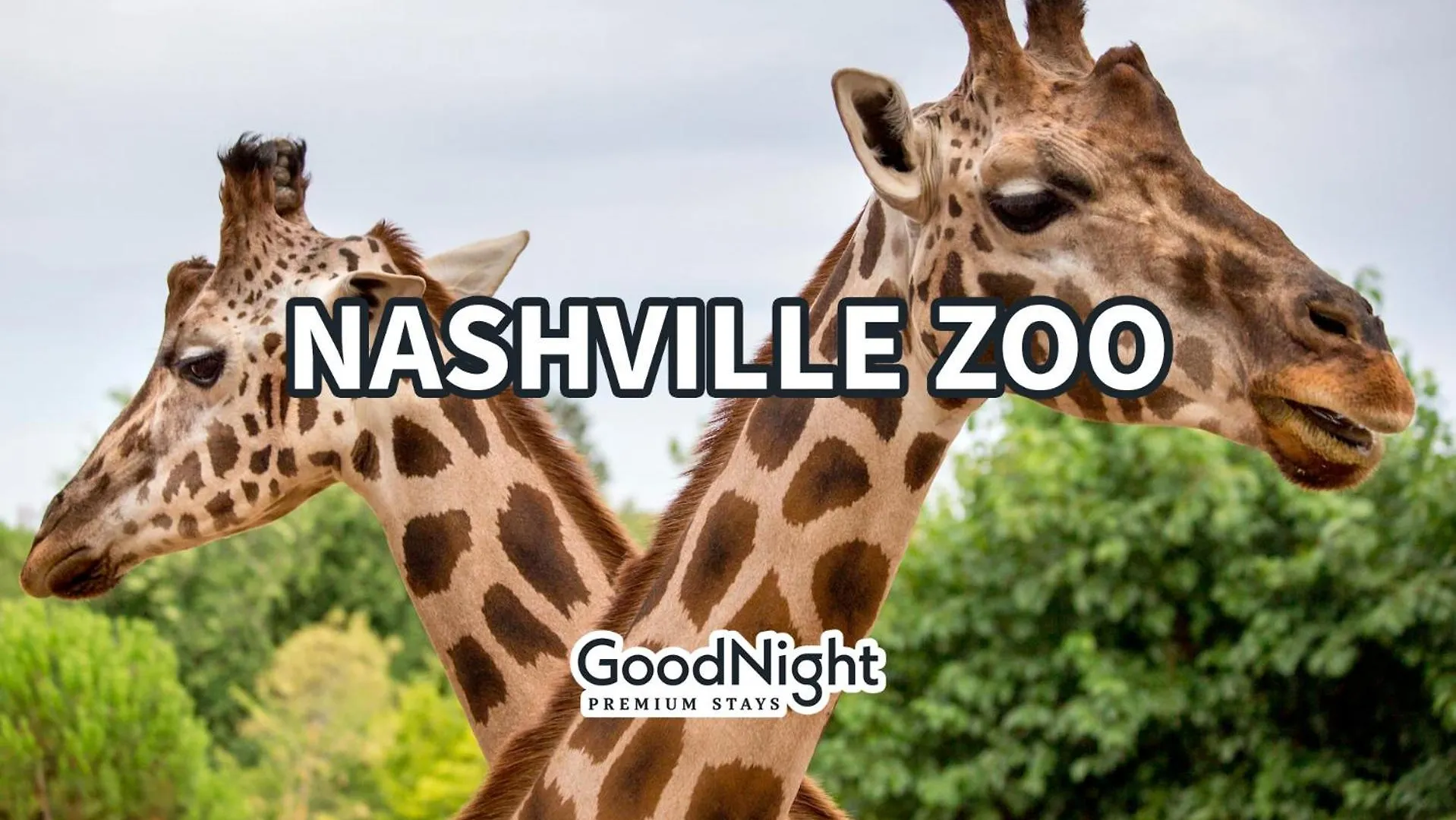 Willa Chords - Odyssey - Heart Of Midtown Nashville Stany Zjednoczone Ameryki